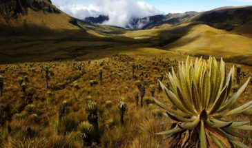 Colombia – Colombia Off Road Culture and Light Trekking Tour 2023