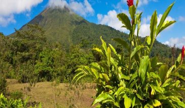 Costa Rica – El Camino de Costa Rica Hiking Tour 2023