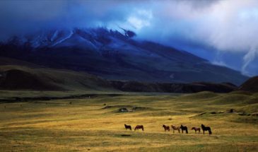Ecuador – The Andean Condor’s Light Trekking Tour 2023