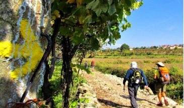 Portugal – Portuguese Camino de Santiago Hiking Tour 2023