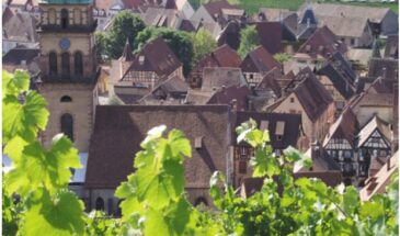 France – Alsace Biking with Vineyards and Romance Bicycle Tour 2023