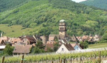 France – Pearls of the Alsace Wine Route Bicycle Tour 2023