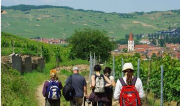 France – Vosges Mountains and Alsace Vineyards Hiking Tour 2023